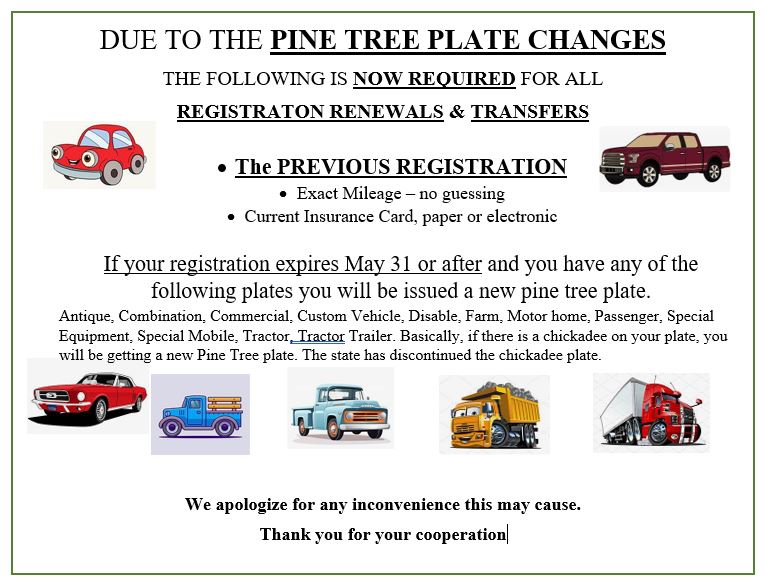 Pine Tree Plates